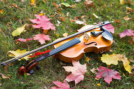 brown violin with bow on top thumbnail