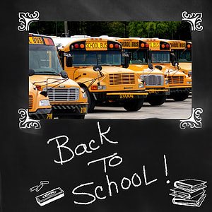 five parked school buses thumbnail