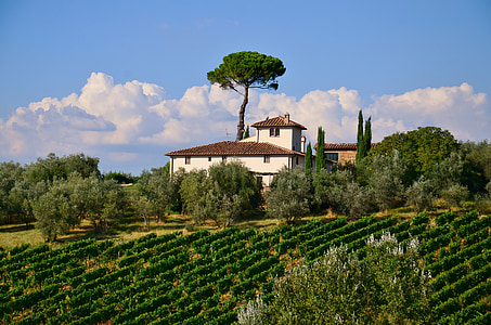 landscape photography of house and green field during daytime thumbnail