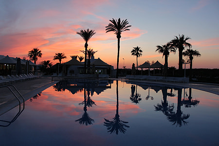 silhouette photography of palm trees and body of water thumbnail