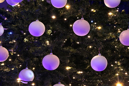 turned on stringed lights thumbnail