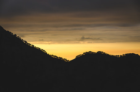 silhouette of trees on mountain thumbnail