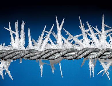 gray steel barb wire covered in ice thumbnail