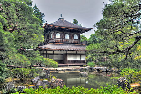 white and black dojo between green leafed trees thumbnail