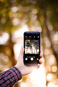boke photography of person holding iPhone 6 displaying trees thumbnail