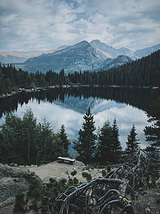 calm body of lake surrounded with pine trees thumbnail