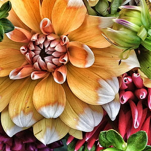 assorted flowers thumbnail