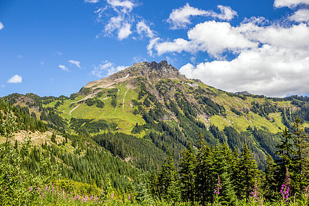 Mount Cheam landscape with trees and sky in British Columbia, Canada thumbnail