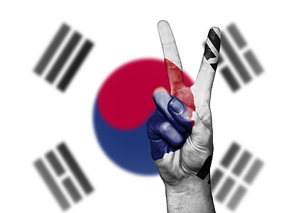 peace hand sign behind Korean flag wallpaper thumbnail