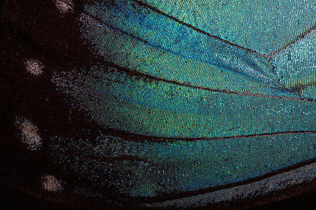 teal textile thumbnail
