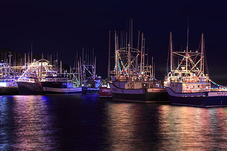 PORT DE GRAVE, NEWFOUNDLAND AND LABRADOR, CANADA - DECEMBER 22, 2017. Fishing vessels at night celebrating the Christmas season with lights, taken on December 22, 2017 in Port De Grave. thumbnail