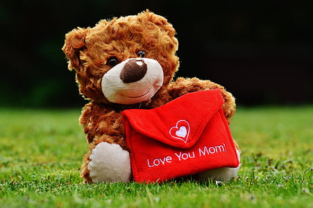 brown bear holding red envelope bag plush toy thumbnail