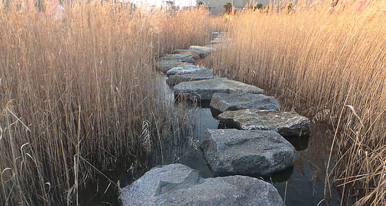 gray rock in body of water thumbnail