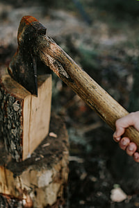 Chopping wood in the forest thumbnail