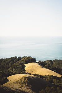aerial photography of hill with trees near calm body of sea at daytime thumbnail