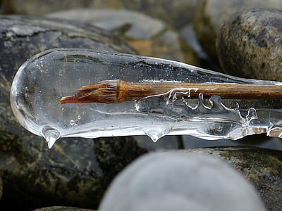 brown wooden stick covered with ice thumbnail
