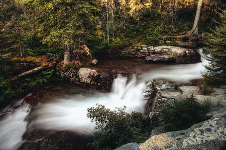 waterfalls in the forest during daytime thumbnail