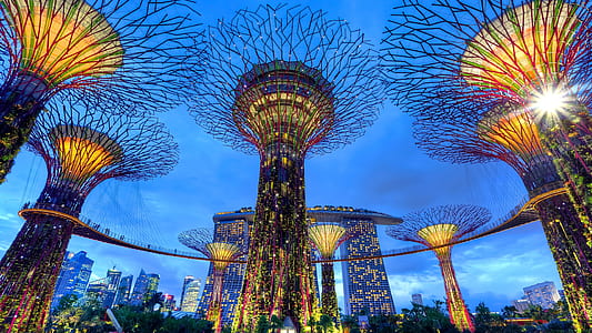 low angle view photography of Gardens By The Bay thumbnail