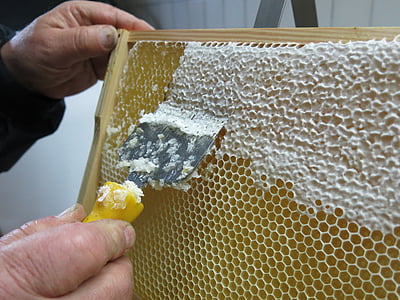 person scrapping beehive thumbnail