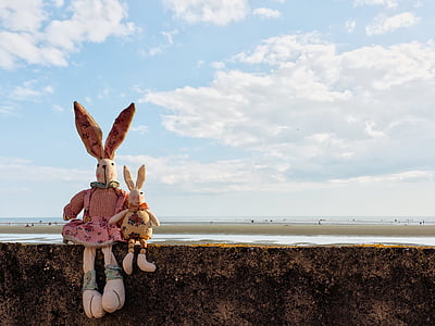 two rabbit plush toys on wall thumbnail