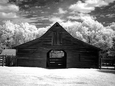 brown wooden house beside trees thumbnail