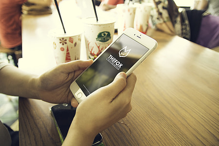 person holding gold iPhone 6 display TheFox application thumbnail