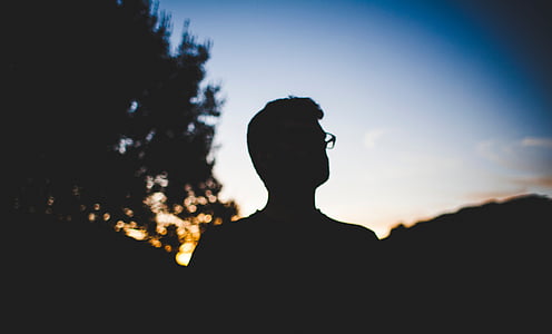 silhouette of man standing near tree thumbnail