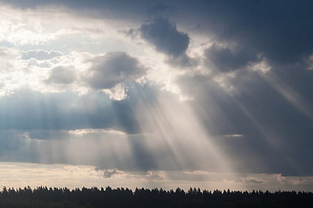 silhouette of trees and sun rays thumbnail