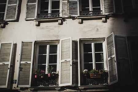 opened white wooden windows thumbnail