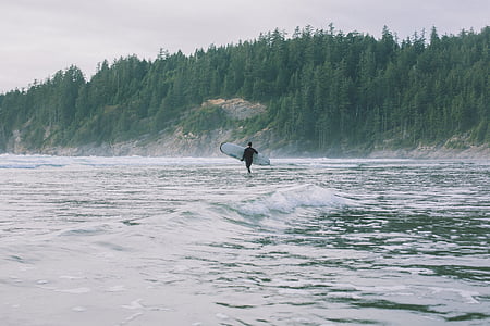 man holding surfboard walking on beach thumbnail