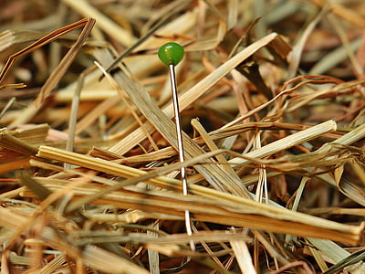 silver and green frame surrounded by dried leaves thumbnail