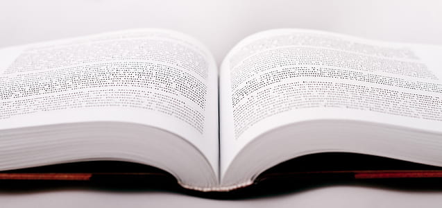 White Open Book Page thumbnail