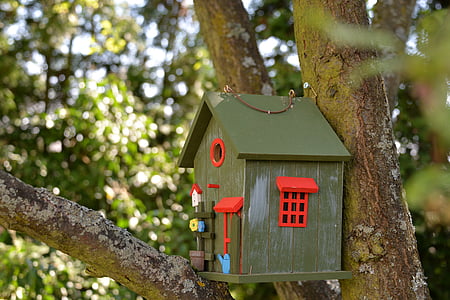 gray birdhouse on tree branch thumbnail