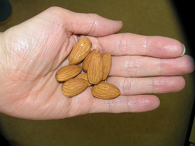 person holding almond nuts thumbnail