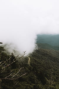 smoke on green tree covered mountain thumbnail