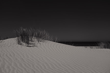 grayscale photography of desert thumbnail