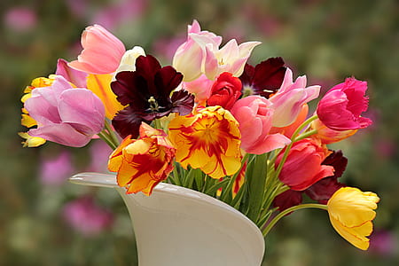 assorted-color tulips in bloom close-up photo thumbnail