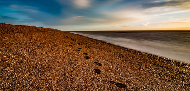 brown shore beside body of water thumbnail