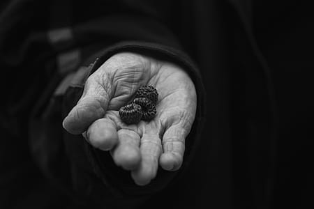 person holding fruits thumbnail