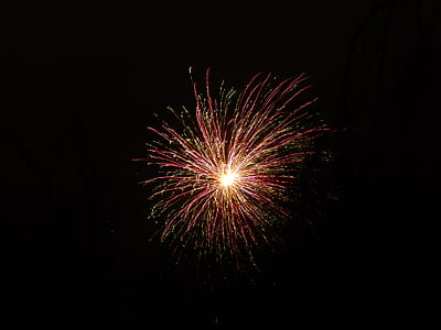brocade photography thumbnail