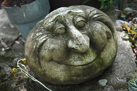 gray smiling rock near leaves thumbnail