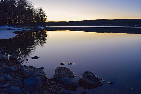 calm body of water near trees thumbnail