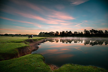 body of water near green grass field thumbnail