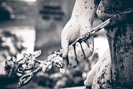 grayscale photo of person holding artificial rose thumbnail