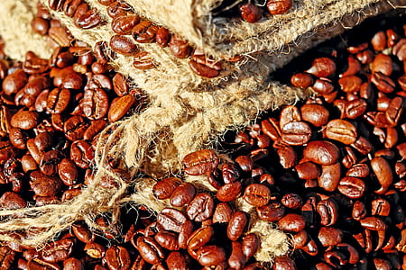 coffee beans near burlap sack thumbnail