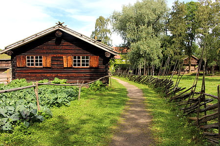 wooden house beside road thumbnail