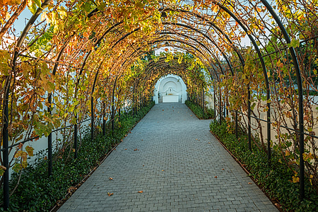 photography of pathway between green grass thumbnail