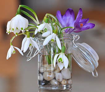 white-and-purple flowers on clear glass vase thumbnail