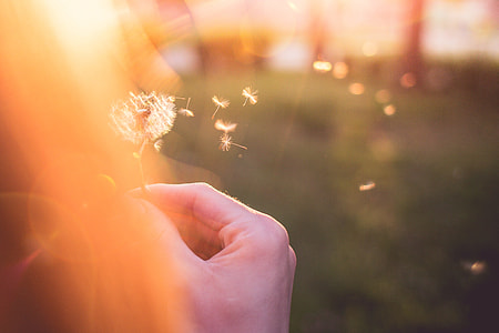 Girl Blowing Blowball/Dandelion thumbnail