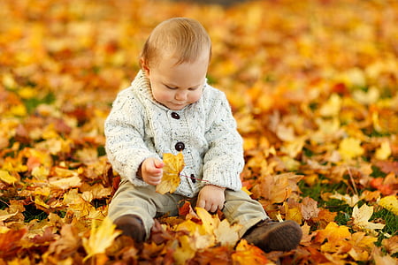 baby wearing gray coat sitting on maple leaves thumbnail